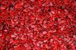 Red Melon Seeds