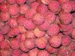 Lychee