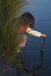 Exploring evening water with seaweed