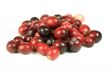 Cranberries on white