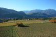 Panoramic vineyard