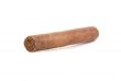 Cuban cigar