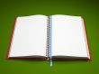 Empty pages of open notebook isolated on green background