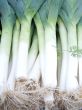 leeks