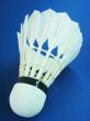 Shuttlecock