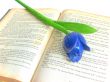 Tulip on Book