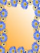 Flower framework