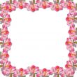Flower framework