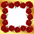 Flower framework from peonies