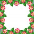 Framework from roses