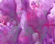 background, lilac