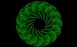 Green wreath abstract
