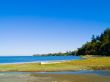 Beach Landscape