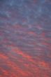 mackerel clouds at  sunset
