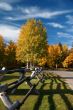 Autumn road and rail fence