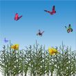 Butterflies