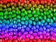 Rainbow Seeds