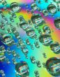 Water Droplets