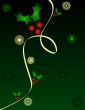 Christmas holly