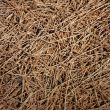 Background - Dried Grass