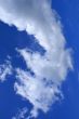 wry cloud