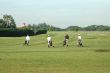 4 Golf Players