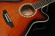 Guitar Closeup 3