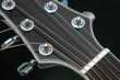 Guitar Closeup 5