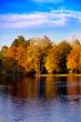 Autumn scene
