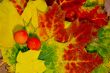 Autumn leaves