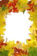 Autumn frame