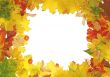 Autumn frame