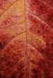 Leaf macro