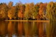 Autumn scene