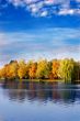 Autumn scene