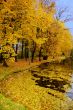 Autumn scene