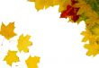 Autumn frame