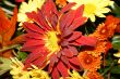 At The Florist