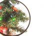 Christmas Tree Lights