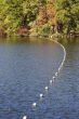 Lake Divider
