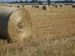 Straw