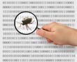 concept of searching for a bug