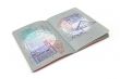 Passport 2