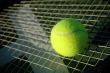 Tennis Ball on Racket