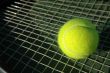 Tennis Ball on Racket