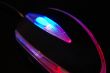 Glow in the dark Mouse
