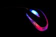 Mouse 5