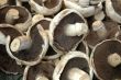 Mushrooms