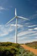 Wind Mill