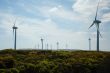 Wind Mill